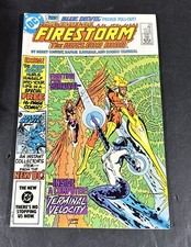 Cover of The Fury of Firestorm #24
