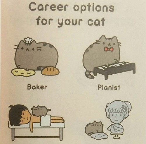I Am Pusheen the Cat by Claire Belton Internet Viral Sensation Cartoon Book - Picture 6 of 7