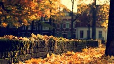 Landscape fall leaves fallen city Custom Gaming Mat Desk