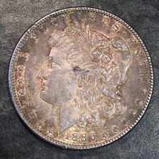 1886 Morgan Silver Dollar - A Bit Darker in hand - High Quality Scans #Q583