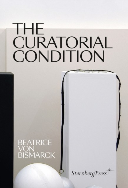 The Curatorial Condition by Beatrice Von Bismarck PAPERBACK 9783956795343