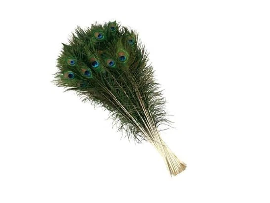 10-30 inches Natural Peacock Feathers with Big Natural Eyes 10-150 Pcs from BT - Image 4 of 4