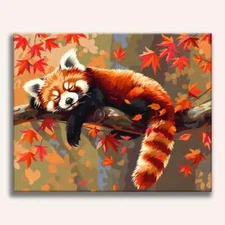 Relaxed Red Panda Large Sized Premium Photo Print 11"x14" Wall Art