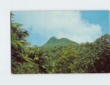 Postal Montaña y Torre Picacho en Selva Lluviosa El Yunque Puerto Rico