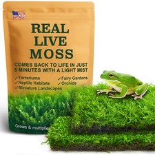2 PCS Live Moss Duo Pack Sheet Sphagnum Terrariums Reptile Tank Substrate Dirt