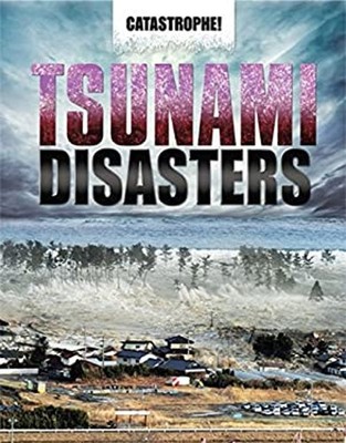 Tsunami Disasters Paperback John Hawkins