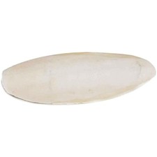 25 Count 6-Inch Unflavored Cuttlebones for All Birds - Beak Health Essential