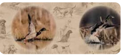 1 Ducks Unlimited Wallpaper Border Roll Dogs Hunting Mallard Man Cave 9in x 5Yd