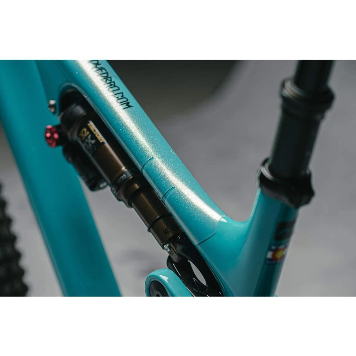 Dyedbro frame hotsell protection uk