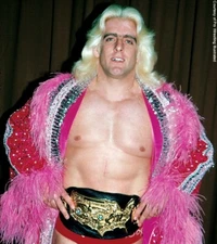 LEGENDS of WRESTLING - RIC FLAIR  VOLS 58 VOLUME SET - PRO WRESTLING