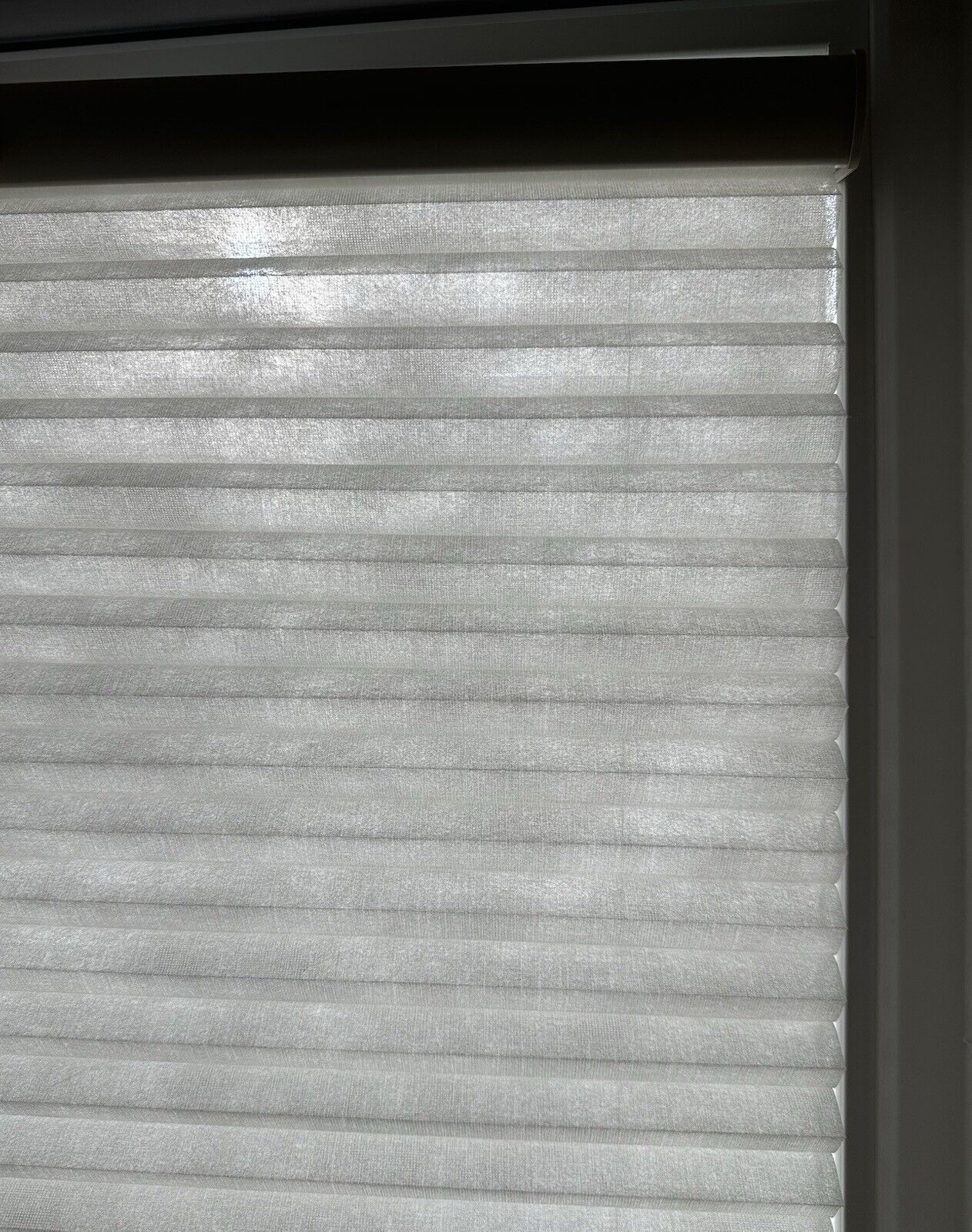 Picture 5 of 6