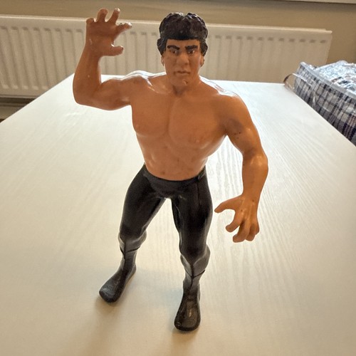 Vintage 1986 LJN WWF Ricky The Dragon Steamboat Ac...
