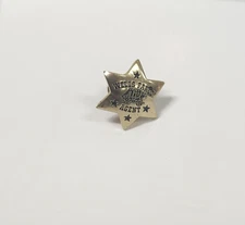 Wells Fargo Agent Gold Tone Mini Star Badge Lapel Pin