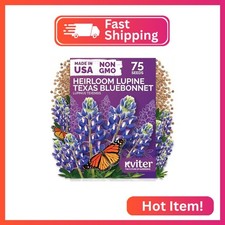 75 Texas Bluebonnet Heirloom Flower Seeds for Planting, Lupinus Texensis