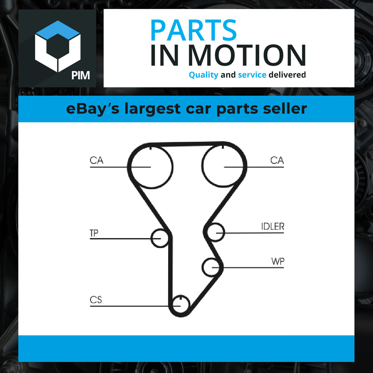 Timing Belt CT790 Continental FE312205 FE3N12205 FE3N122059A FE3N12205X Quality