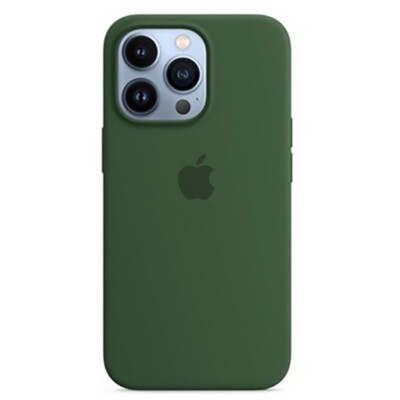 Silikonhülle mit MagSafe für Apple iPhone 13 Pro, eukalyptusgrün