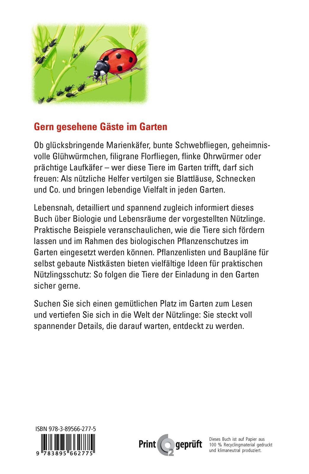 Thumbnail - Marienkäfer, Glühwürmchen, Florfliege & Co. Thomas Lohrer