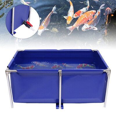 Fish Pond Fish Aquarium Fish Tank Canvas Blue Cuboid Small Above Ground Pond