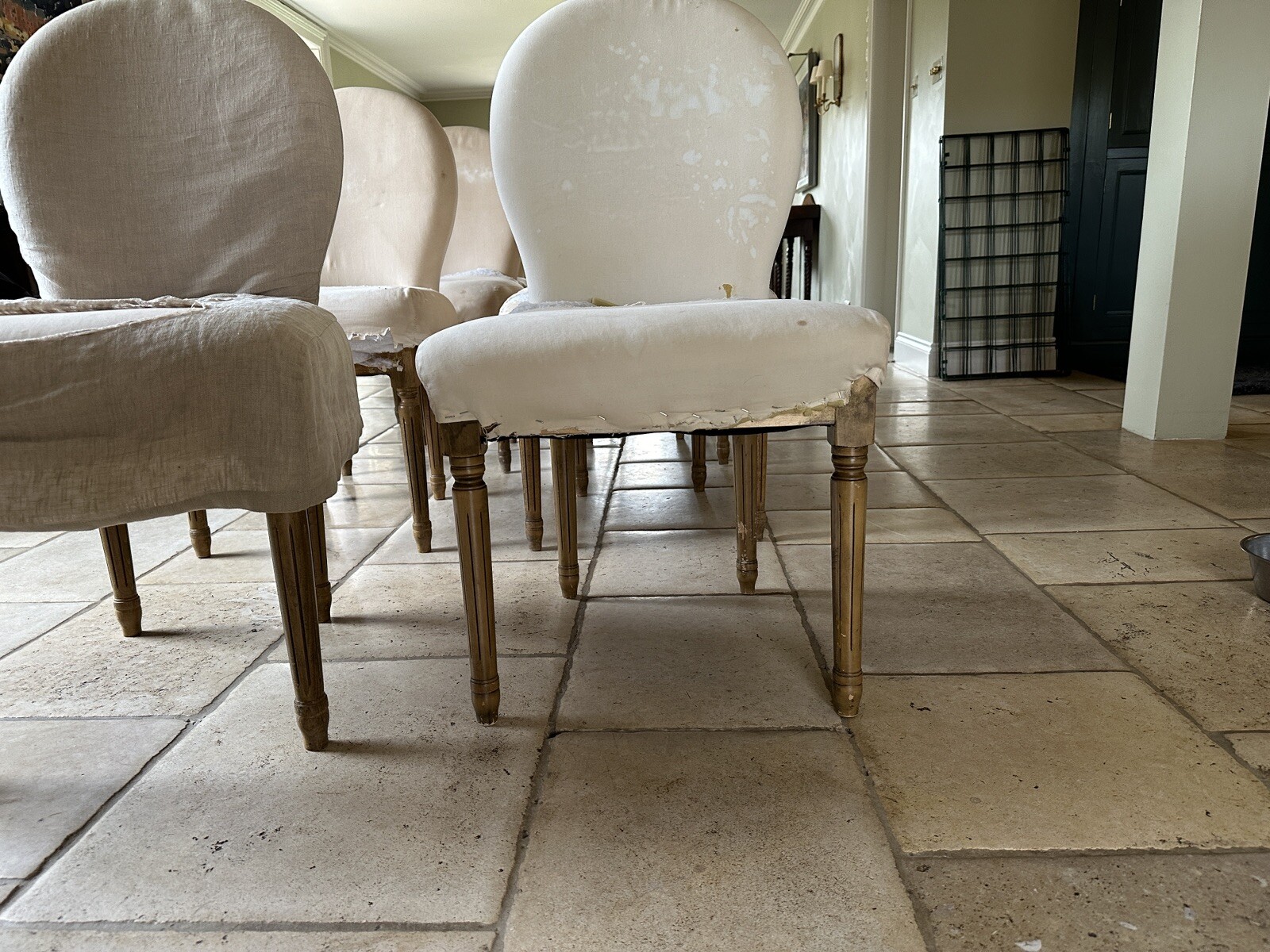 8 Oka dining chairs ( In need of covers) eBay