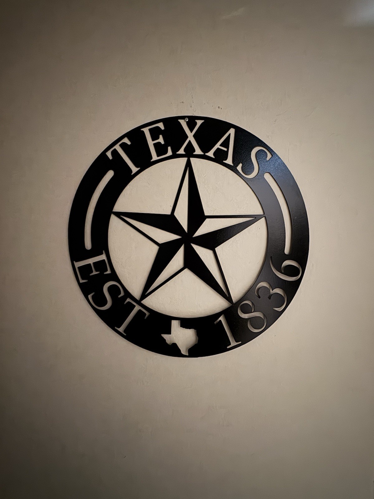 State of Texas Metal Wall Art Decor Metal Sign