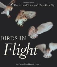 Birds in Flight: The Art and Science of How Birds Fly