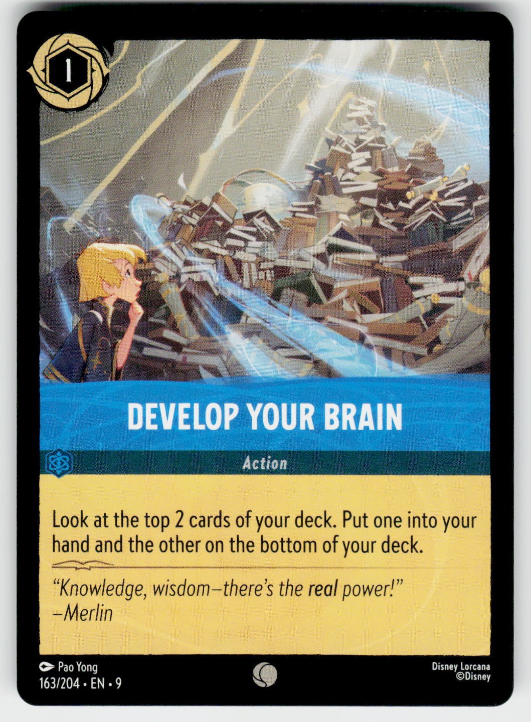 Develop Your Brain 163/204 C Fabled Lorcana NM
