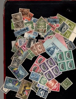 Ecuador Nice lot 0.4 oz