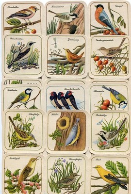 Glanzbilder Oblaten scrap  4  Bogen DDR Vögel