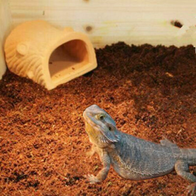 reptile coconut bedding
