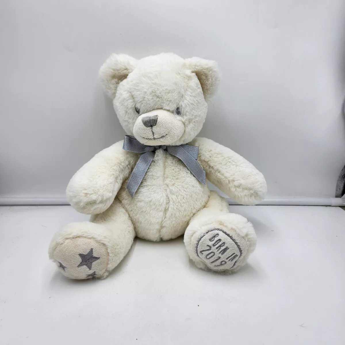 Born in 2025 2019 teddy