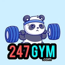 247Gym.com - BRANDABLE DOMAIN NAME - Health, Fitness, Diet, Nutrition, Blog, AI