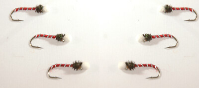 6 rote Strapse Zylinder Hut Emerger weiß Schaumstoff Buzzer Bloodworm