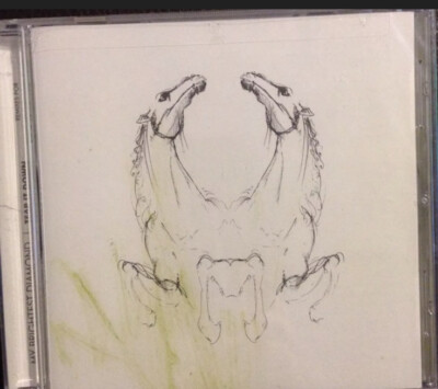 MY BRIGHTEST DIAMOND - TEAR IT DOWN  Cd Nuevo Precintado