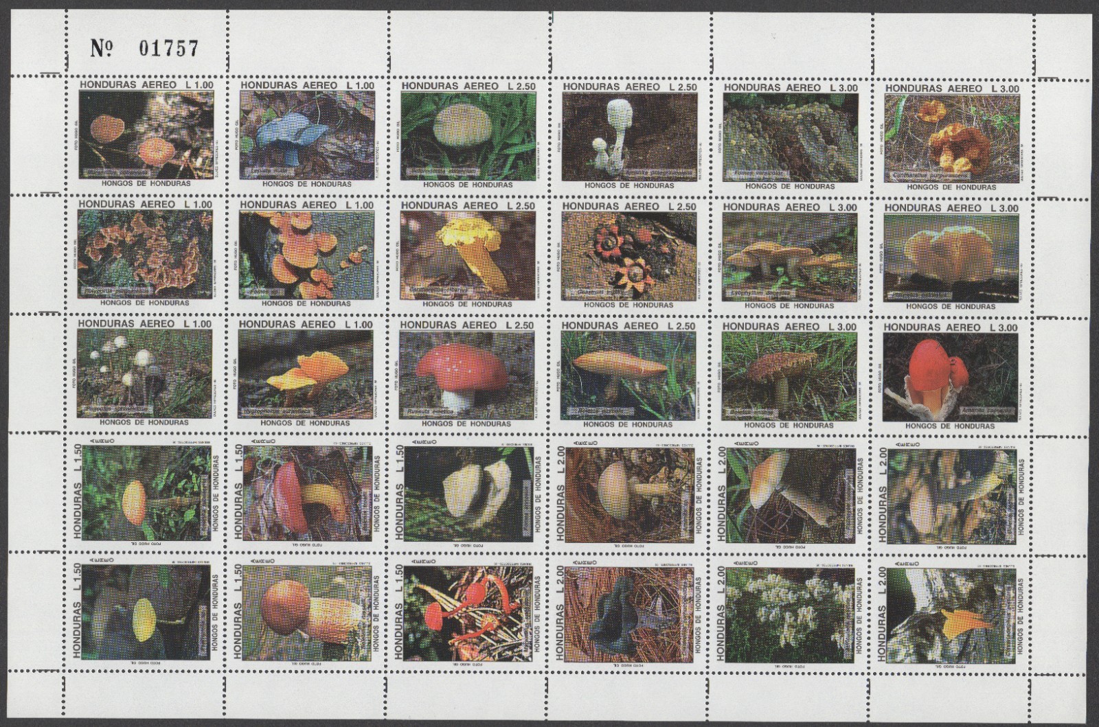 Honduras 1995 Mushrooms Hongos de Honduras Complete Full Stamp Sheet 30v MNH