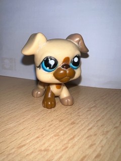 Littlest Pet Shop #1516 Boxer authentic Originale Hasbro LPS