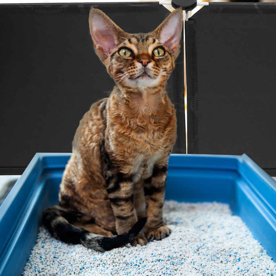 Extra Large Litter Box Splash Guard Cat Pan Pee Shield Enclosure eBay