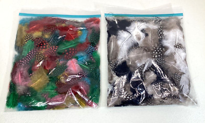 Crafting Feathers 2 Bag Fulls Fowl Natural And Dyed Colors