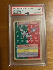 Pokemon Topsun | eBay