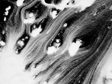 Black Hairpin Hair Clip Women Girl Styling Tools Hair Claw Clamp Elegant+