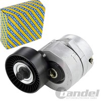 Snr Riemenspanner Spannrolle Keilrippenriemen Passend FüR Ford Galaxy