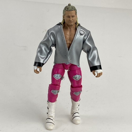 WWE Dolph Ziggler Action Figure Elite 70 Chase With Jacket Pink Pants - Picture 4 of 15