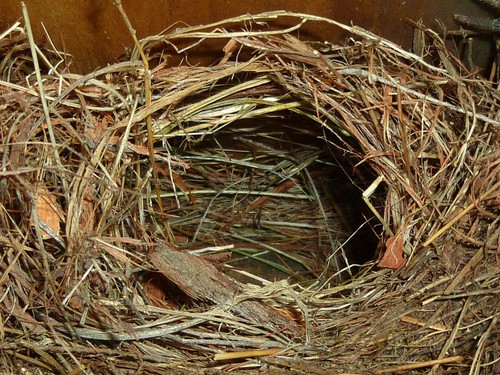 Pardalote Nesting Box Fully constructed from weather-proof ply. Proven design. - Picture 6 of 12