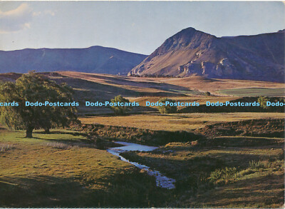 D149823 Rural Peace near Clarens. O. F. S. S. A. R