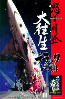 DoDonpachi Daioujou Arcade PS2 XBOX 360 Premium POSTER MADE IN USA