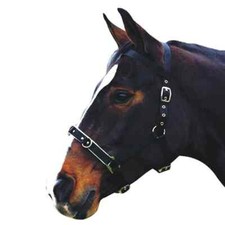 Kincade Nylon Padded Lunge Cavesson Purple Neu UVP 22&pound;