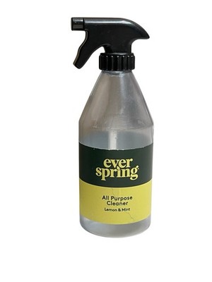 Ever spring all purpose cleaner replacement target kids toy
