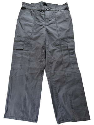 Social Standard by Sanctuary Portside Gray Stretch Cargo Pants