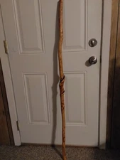 NATURAL TWISTED HIKING STICK ( Oak. )  BEAUTIFUL TWISTS & COLOR