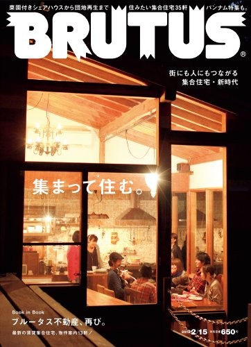 Used Brutus 2012.Vol 2/15 Style & Culture Magazine Japanese book form JP