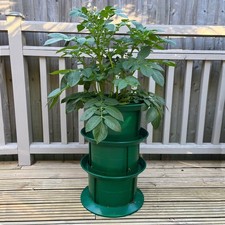 Platform Potato Growing Pot Planter for Garden or Patio